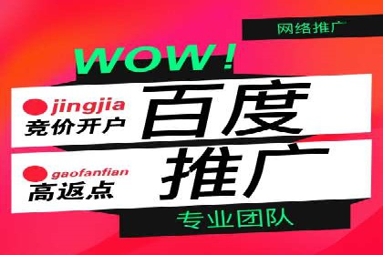 百度推广服务费案例：揭秘成功企业运营秘诀