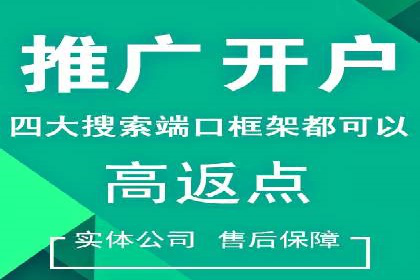某sem公司成功案例揭秘